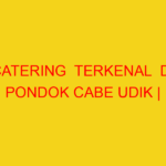 CATERING  TERKENAL  DI PONDOK CABE UDIK | 082244449942  |