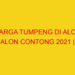 HARGA TUMPENG DI ALON ALON CONTONG 2021 | 082244449942  |