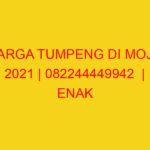 HARGA TUMPENG DI MOJO 2021 | 082244449942  | ENAK & MURAH