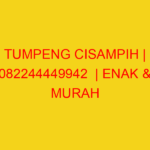 TUMPENG CISAMPIH | 082244449942  | ENAK & MURAH