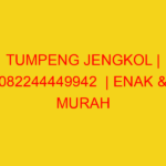 TUMPENG JENGKOL | 082244449942  | ENAK & MURAH