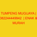 TUMPENG MUGIJAYA | 082244449942  | ENAK & MURAH