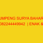TUMPENG SURYA BAHARI | 082244449942  | ENAK & MURAH