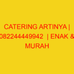 CATERING ARTINYA | 082244449942  | ENAK & MURAH