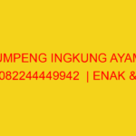 TUMPENG INGKUNG AYAM | 082244449942  | ENAK & MURAH